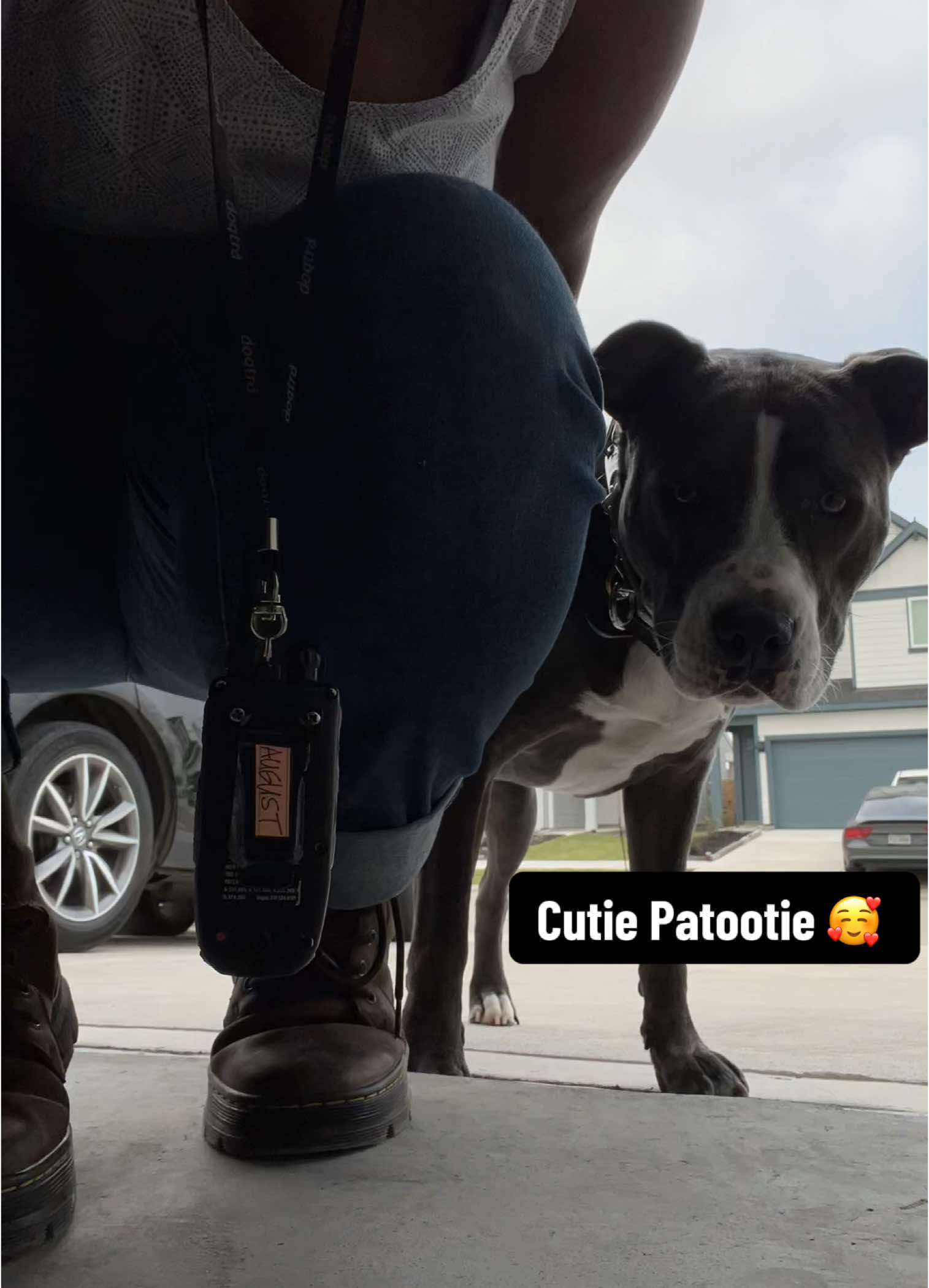 August is such a smart pup! So well trained and I’m proud to take her anywhere with me. I’m aware she’s a dog and could choose to do whatever she wants at any time. Bc I can’t control her, she’s free to make her own decisions. But I love the decisions she chooses to make, I love to see her progress, advance, learn. She loves to werk! Training is a job, working dogs love to work. So give them a task, even if that task is doing absolutely nothing! #DogTraining #houstondogtraining #dogtrainer #houstondogtrainer #tiktokreelsviral #explorepage #offleashtraining #onleashk9training #basicobediencetraining #tricks #pitbull #pitbullsoftiktok #girls #dogtra #treats #fyp #iykyk #canyourdogdothis #mypitissmarterthanyours #alpha #leader #bluenose #femaledog 
