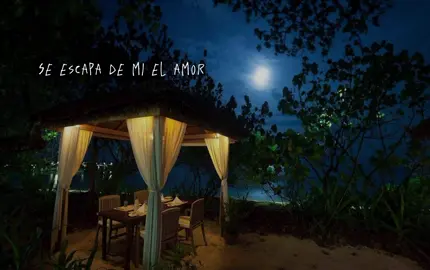 Amor marcado - Isla Bonita🏝️👩🏽‍❤️‍👨🏾 #salsa #isla #amor #bonita #salseros #dedicar #latinos #sentimientos #romantica #paratiiiiiiiiiiiiiiiiiiiiiiiiiiiiiii #salsa❤️ #letra #Musica #salseros #amor #estados #Tema #latinos #Salsa 