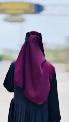 saluk puler laj nai #ti̇ktok #official #vairalvideo @tiktokbangladesh 