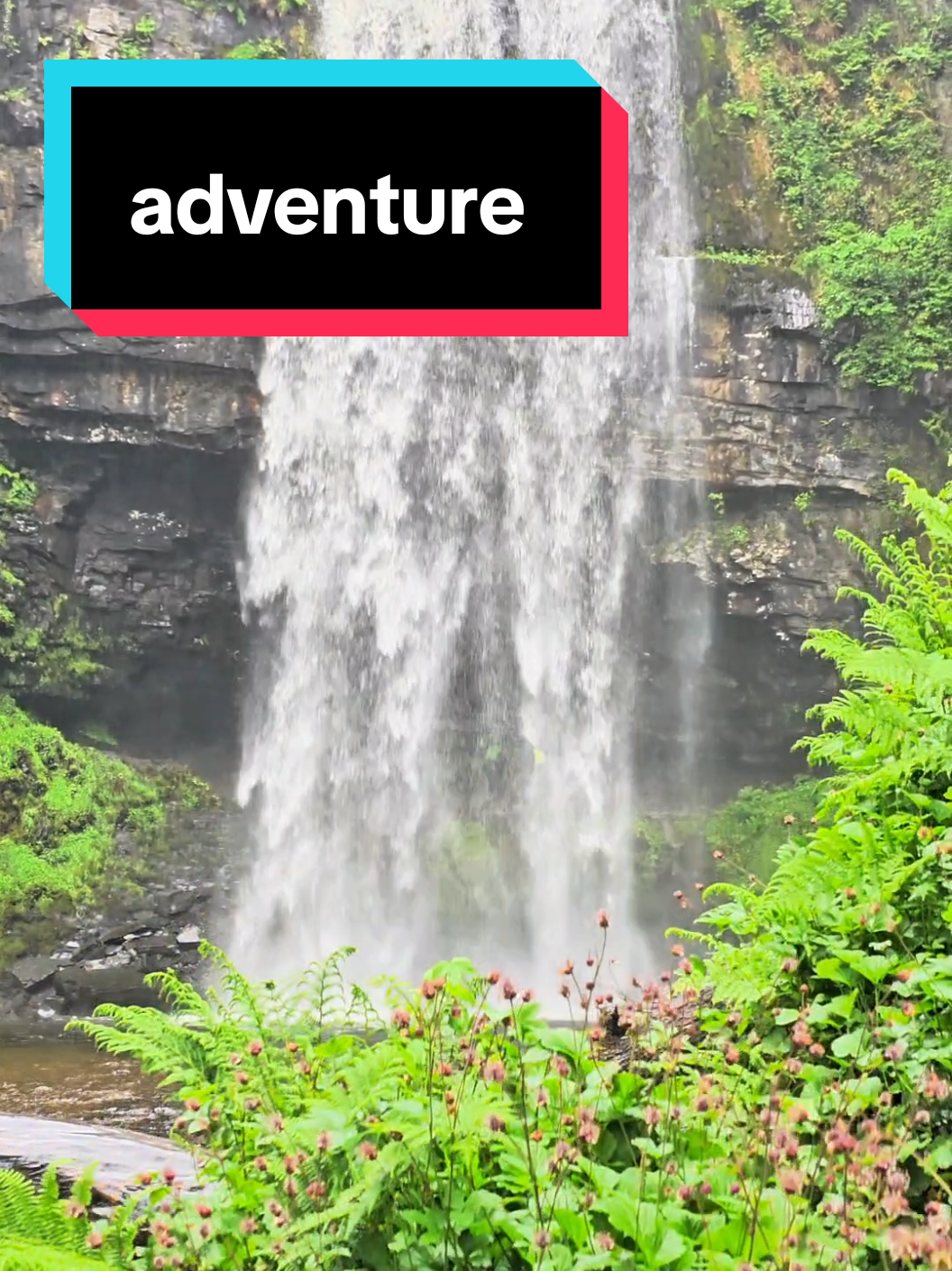 Cozy Van Life: Rainy Day Adventures #vanlife , #rainydays , #travel , #homeonwheels , #cozyvibes 