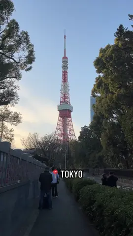 Finally did this trend 💕🇯🇵 #japan #tokyo #philippines #detectiveconan #shibuyaincident #shibuya #fyp #foryou #tiktok 