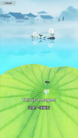 The Invention of the Chinese Compass - A Journey Through Ancient Wisdom and Innovation. #AncientChina #InnovationHistory #ChineseCulture #NavigationTools #HistoricalDiscovery #ScienceAndTechnology #MagneticNorthPointer #EastAsia文明 