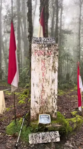 #fyp #nokilalaki2355mdpl #foryoupage #pendakifomo #pendakigunung #4u 