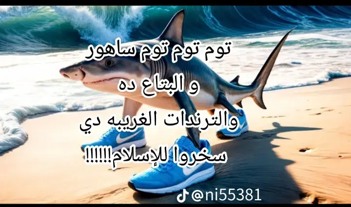 ترجمة توم نوم#
