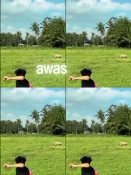 walaupun duta jatuh,tetep jatuh cinta sama e mas najib,izinn yaa mas @na_jibs  #CapCut #najib #masnajibgwsm #khoirulnajibloversffypppp #kusumawara #kusumawaraofficial #dutanyungsep #fyppppppppppppppppppppppp #masukberandafyp 