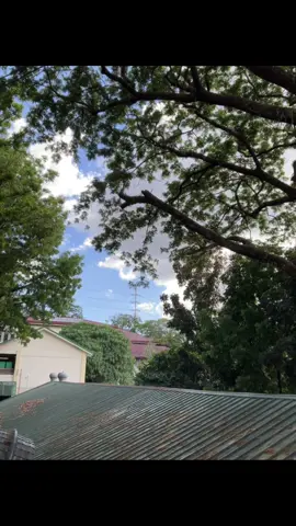#live #livephoto #freetouse #viral #cctomusicnotmine #ctto #photography #makeitvirаl #trending #fyp@TikTok 