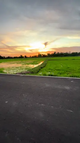 #ธรรมชาติบ้านนอก #ธรรมชาติ #วิวบ้านนอก🍃 #เธรดท้องฟ้า #ท้องฟ้าสวย #ทุ่งนา #วิวธรรมชาติสวยๆ 