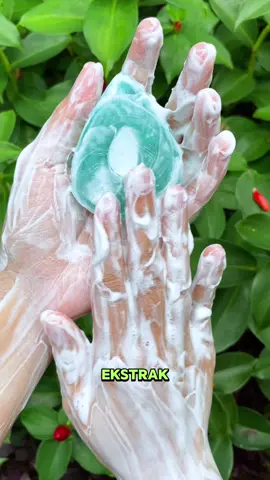 Ini dia dua ukuran sabun bright & glow kojic plankton, kalian udah pakai yang mana nih?? Komen di kolom komentar ya best #kojicplanktonoriginal #mencerahkankulit #kojicplankton #sabunviral 