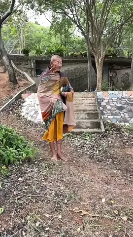 Do tuổi cao sức yếu, hai năm gần đây mỗi buổi sáng Sư Ông không còn tự mình đi khất thực như trước. Có một người đệ tử cư sĩ phát tâm hộ trì, đều đặn đưa đón Sư Ông đi khất thực bằng xe máy mỗi buổi sáng   #foryou #phatphapnhiemmauvidieu #phatgiao #giaolyphatphap #xuhuongtictok2025 #thichphaphoa #kienthucthuvi #thailand #หลวงพ่อเกษตรปคุโณ