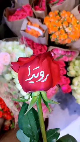 #رويدا#اكسبلور #مصر_السعودية #الحبايب #حروف_الحب 