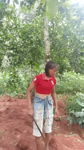 I dey labor  #lynnRay 