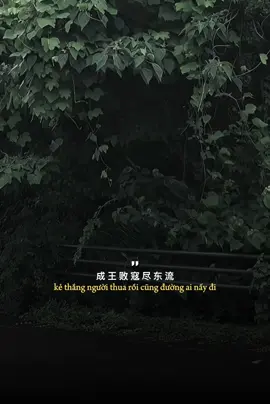 红颜旧 / Hồng Nhan Xưa.  #daivy95 