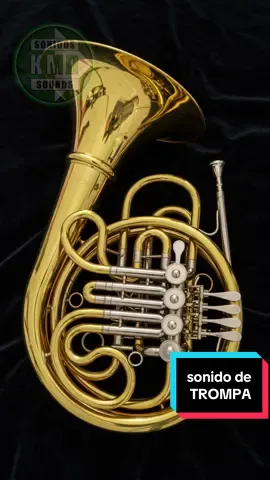 SONIDO DE TROMPA – SONIDOS DE INSTRUMENTOS MUSICALES – Efectos de Sonido Sonido de trompa – sonido de instrumento musical – efecto sonoro real. La trompa, también conocida como trompa francesa, es un instrumento de viento-metal con un sonido cálido, redondo y melodioso. Es fundamental en las orquestas sinfónicas y en la música clásica, donde aporta color y profundidad a las composiciones. Su técnica requiere control del aire y destreza para interpretar melodías expresivas. 🎧 Disfruta de este sonido auténtico y natural, perfecto para proyectos educativos, vídeos musicales, ambientaciones y producciones creativas. 👍 Suscríbete y deja un like si te ha gustado. Comenta qué otros sonidos musicales quieres escuchar. ✅ SONIDOS DE ANIMALES: https://youtube.com/playlist?list=PLgqguBieuCdscdFHjMZpvsEICPu0iedfv ✅ SONIDOS DE INSTRUMENTOS MUSICALES: https://www.youtube.com/playlist?list=PLgqguBieuCdtKAtVKPfZd_oSX2xp3eVb9 ✅ SONIDOS DE VEHÍCULOS: https://www.youtube.com/playlist?list=PLgqguBieuCduofKHmsiU8srWrLlA1GdsQ ✅ SONIDOS DE TERROR: https://youtube.com/playlist?list=PLgqguBieuCdtQm1gOGfG-X8r57mdinMnJ ✅ EFECTOS DE SONIDO: https://youtube.com/playlist?list=PLgqguBieuCdti0vUO9iqYLUdy4YVZYHiH ✅ SUSCRÍBETE AL CANAL: https://www.youtube.com/@sonidosKMD?sub_confirmation=1 TAGS: sonido de trompa, trompa, trompa francesa, viento metal, musica clasica, instrumento de viento, sonido melodioso, trompa orquesta, efectos sonoros reales, sonido autentico, instrumento tradicional, musica sinfonica, trompa en videos, sonidos educativos, trompa realista, sonido de metal, musica instrumental, trompa expresiva, producciones musicales, viento metalicos TWIT: #sonidodetrompa #trompafrancesa #vientometal #musicaclasica