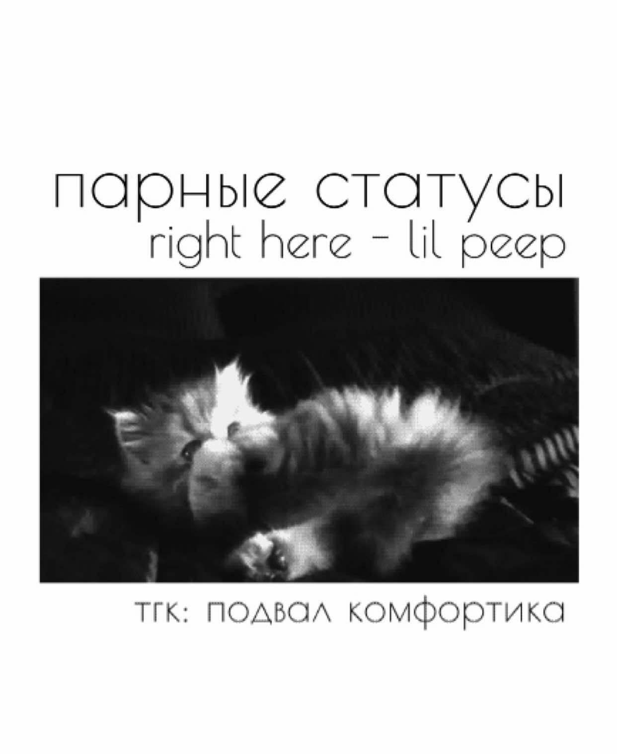 в тгк залью с шрифтом | тгк: подвал комфортика | парные статусы | #парныестатусы #парныеавы #lilpeep 