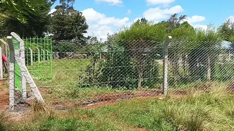 Concrete fence and Chain link 