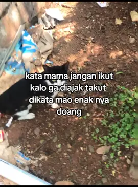 #175brave #fyp #storykampung #masukberanda 