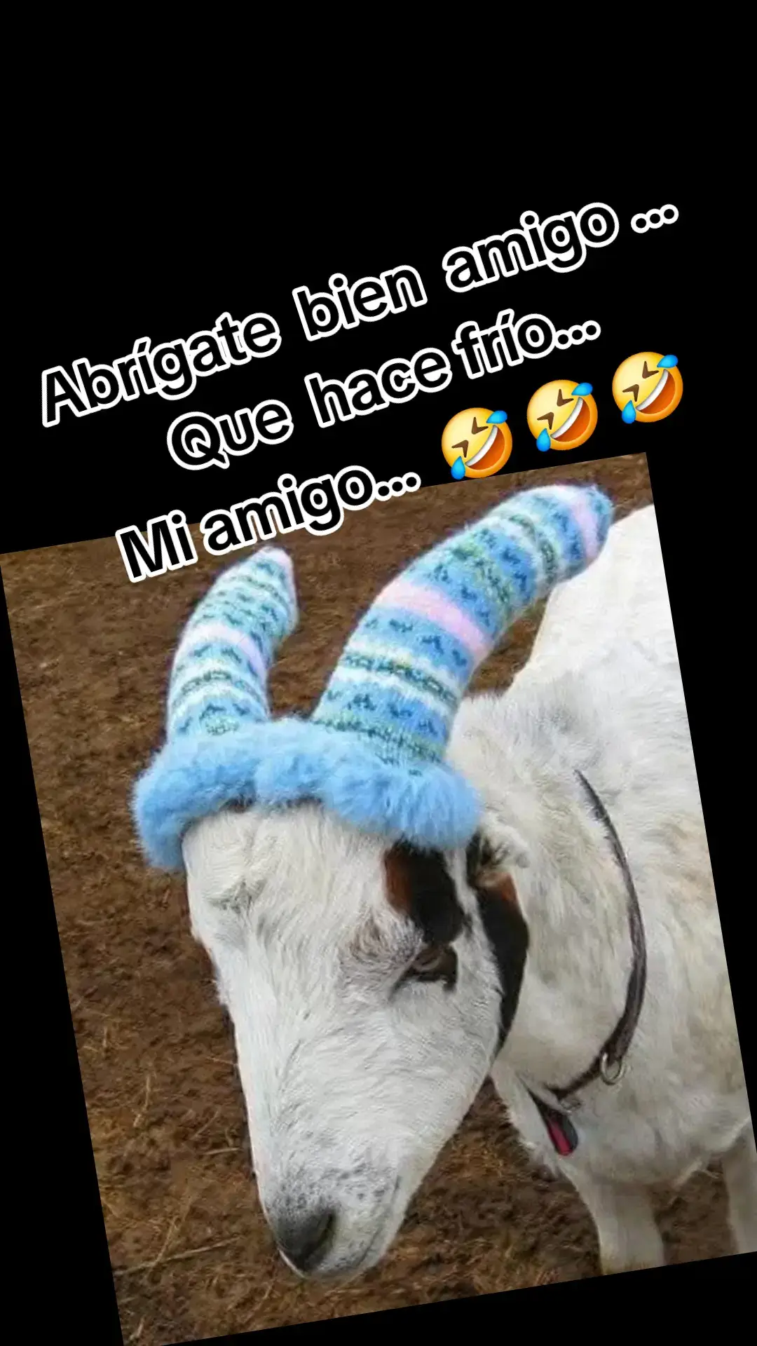 🤣 🤣 🤣 🤣