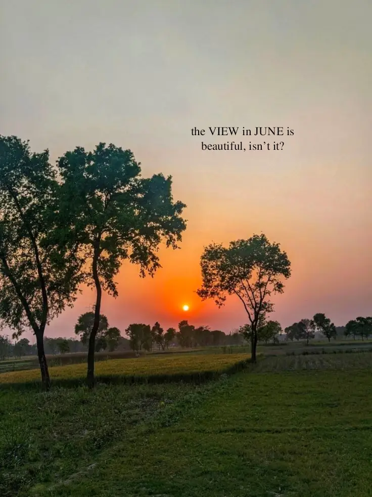 #viewjune #foryou #foryoupage #fypage #fyp #viral #fyppppppppppppppppppppppp 