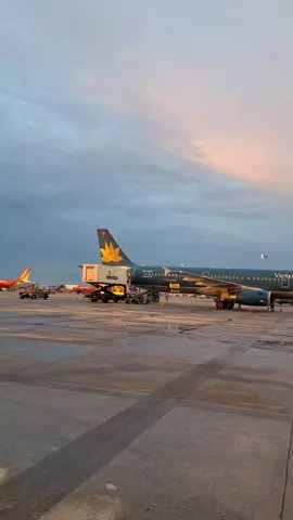 Bầu trời thật là đẹp  #yeumaybay  #vietnamairlines  #tiktokawardsvn2025 