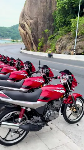 Keluarga ekor grey 😝🇨🇷 #streetlover #thailand #kohsamui #fyp #rxzstilltheboss #rxz_members_official 