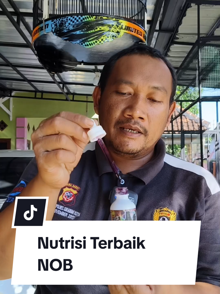 Titik akhir suplemen penggacor hanya NOB.cek out di kranjang kuning bosku.#fajarkicaumaniasurade #vitaminburung #NOB 