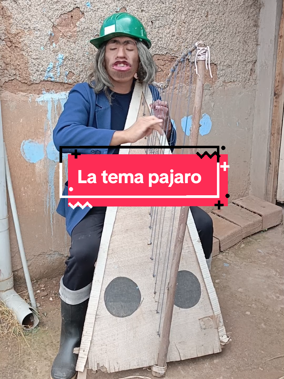 Tema pajaro #humor #tiktok #95romeritooficial 