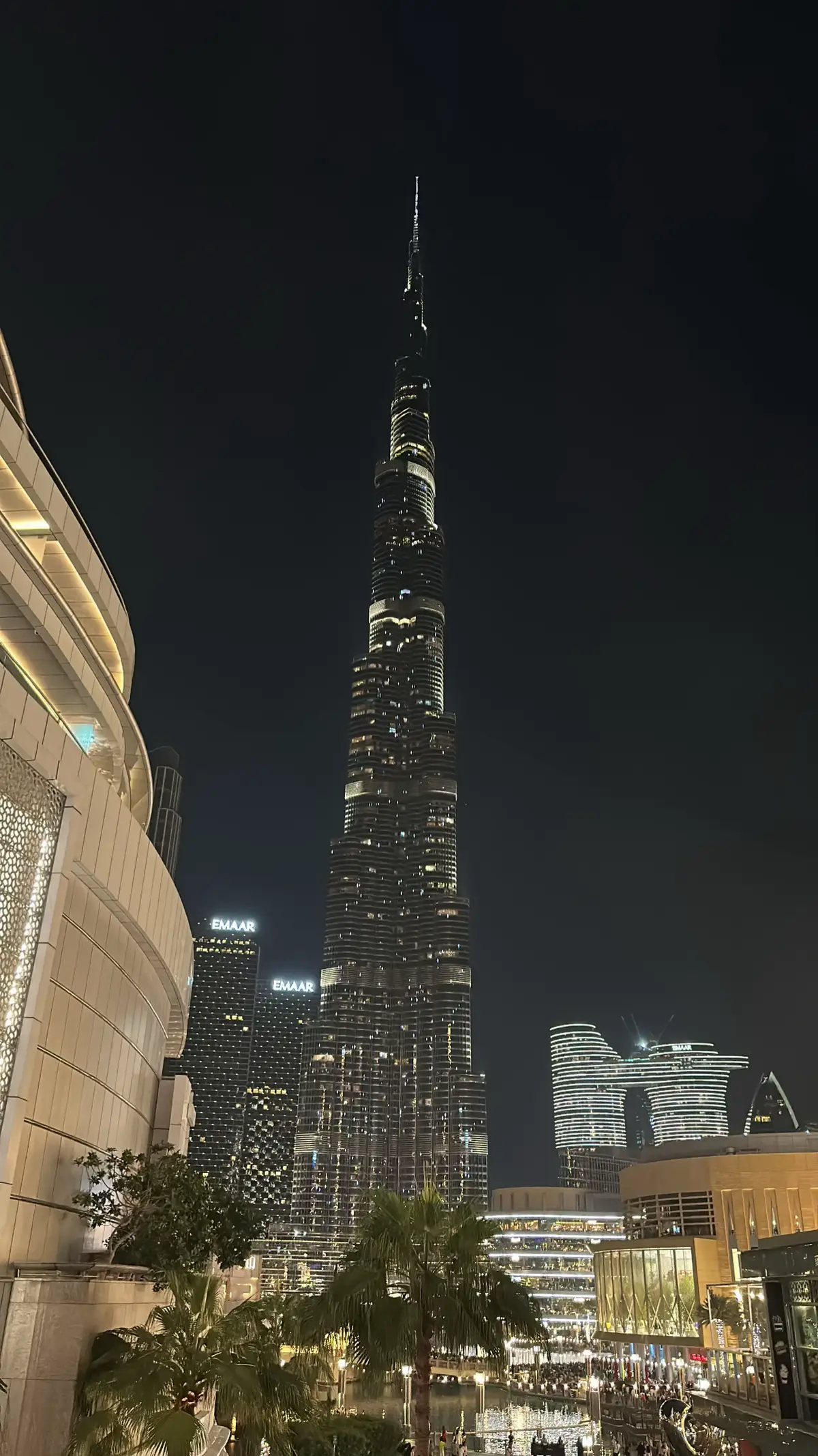 🇦🇪❣️