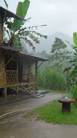 Hujan Sore Hari di Kampung | Suasana Sunyi yang Menyentuh Hati #SuaraHujan #VideoMenenangkan #NatureVibes #ASMRrain 