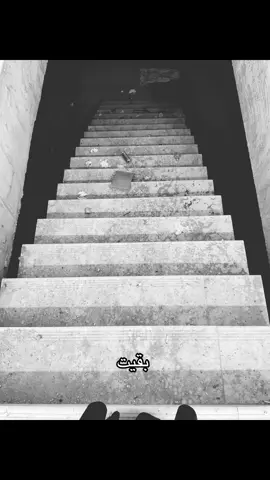 #عبدالرحمن_محمد #اكسبلورexplore #fyp 