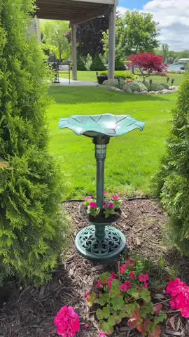 So cute! A great price and free shipping! #birdbath #solarbirdbath #birds 