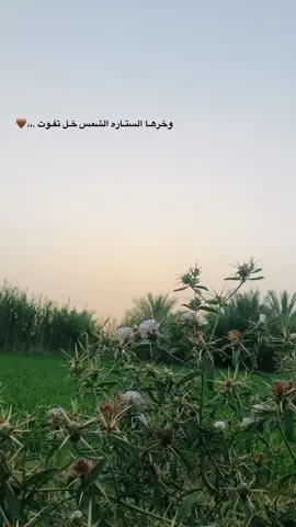 #عباراتكم💔🙁؟؟  #اضافة للحساب 10k