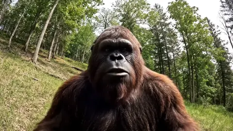 I am officially calling out Bigfoot vlogs!#yosemitenationalpark #shenanigans #bigfoot #videos 
