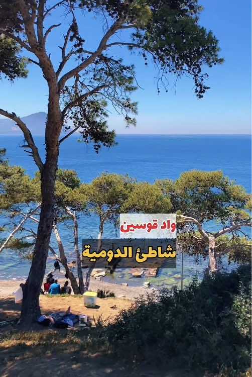 #السياحة_في_الجزائر #اكتشف_الجزائر #_شاطئ_دومية_شلف #الصيف_في_الجزائر🇩🇿 #شلف #البحر 