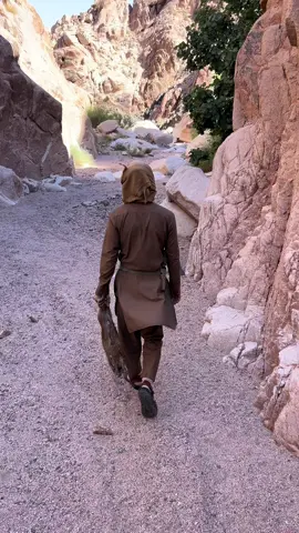 #ذيب_المقارح 