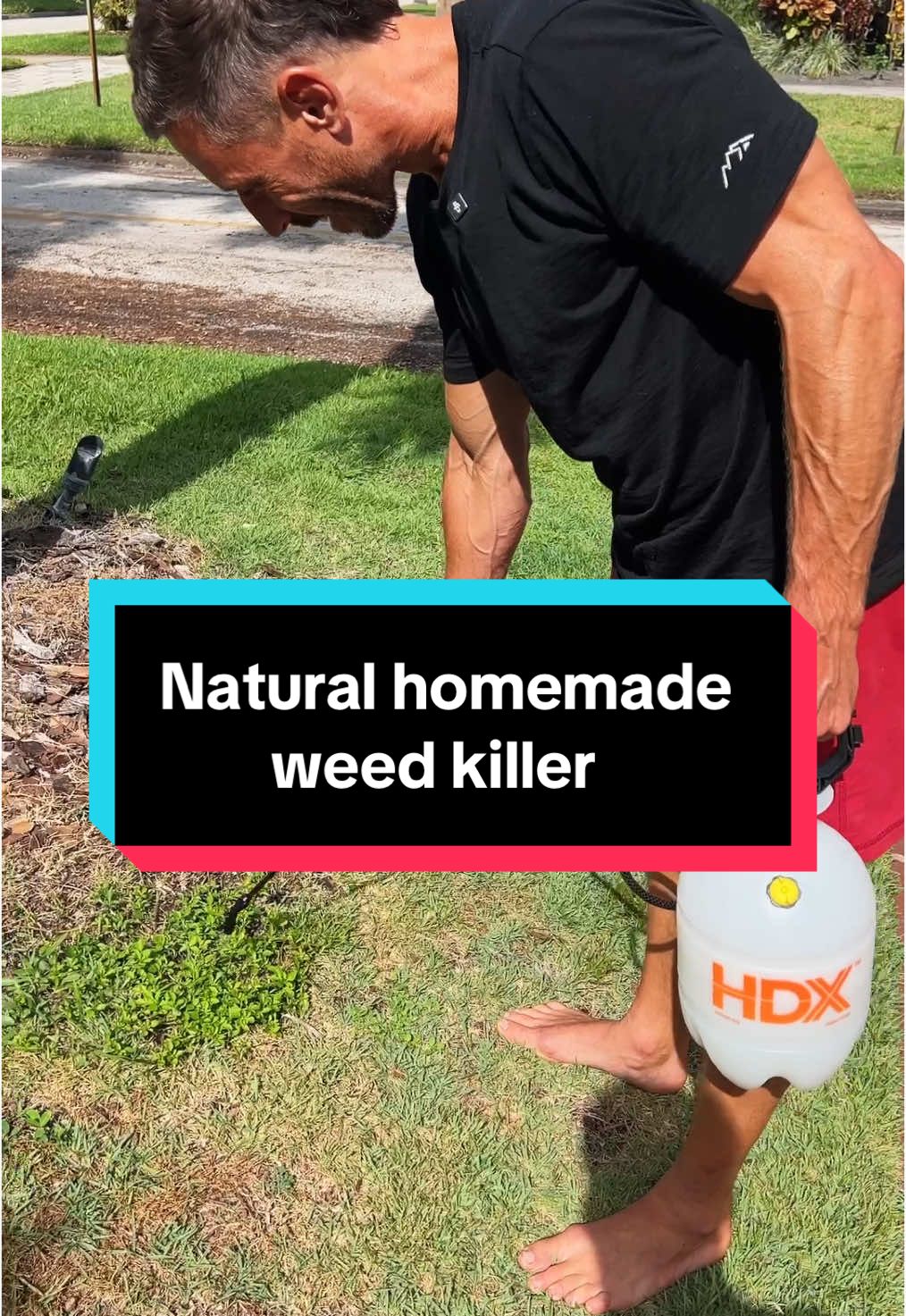 Natural homemade weed killer…