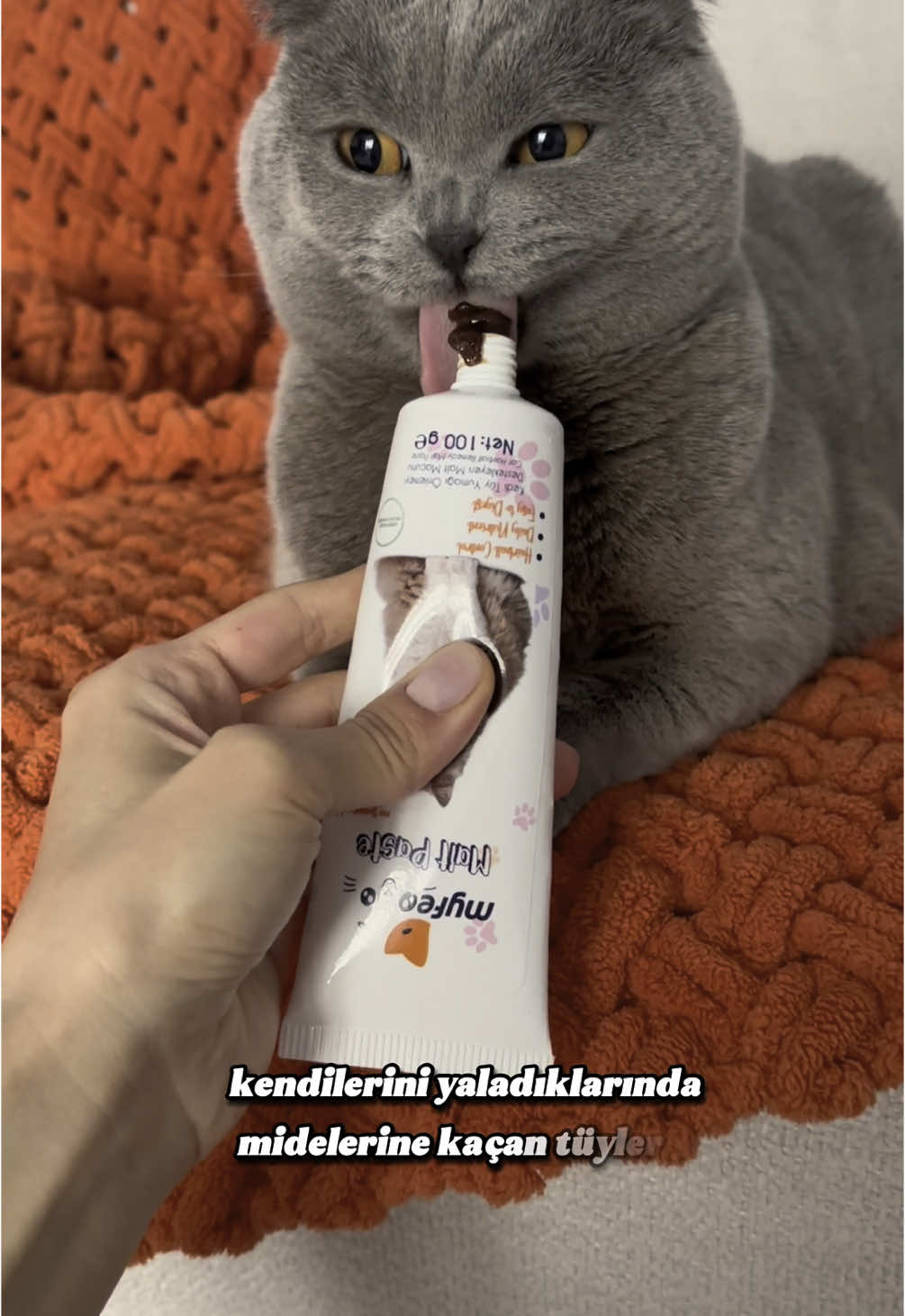En iyisi, en sağlıklısı Myfeo’da ! 😻 #myfeo 