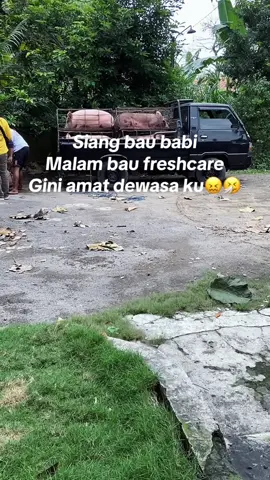 🤧