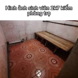 bên trong có sẵn giường và một cái cây🗣️#fyp #xuhuong #kcanh 