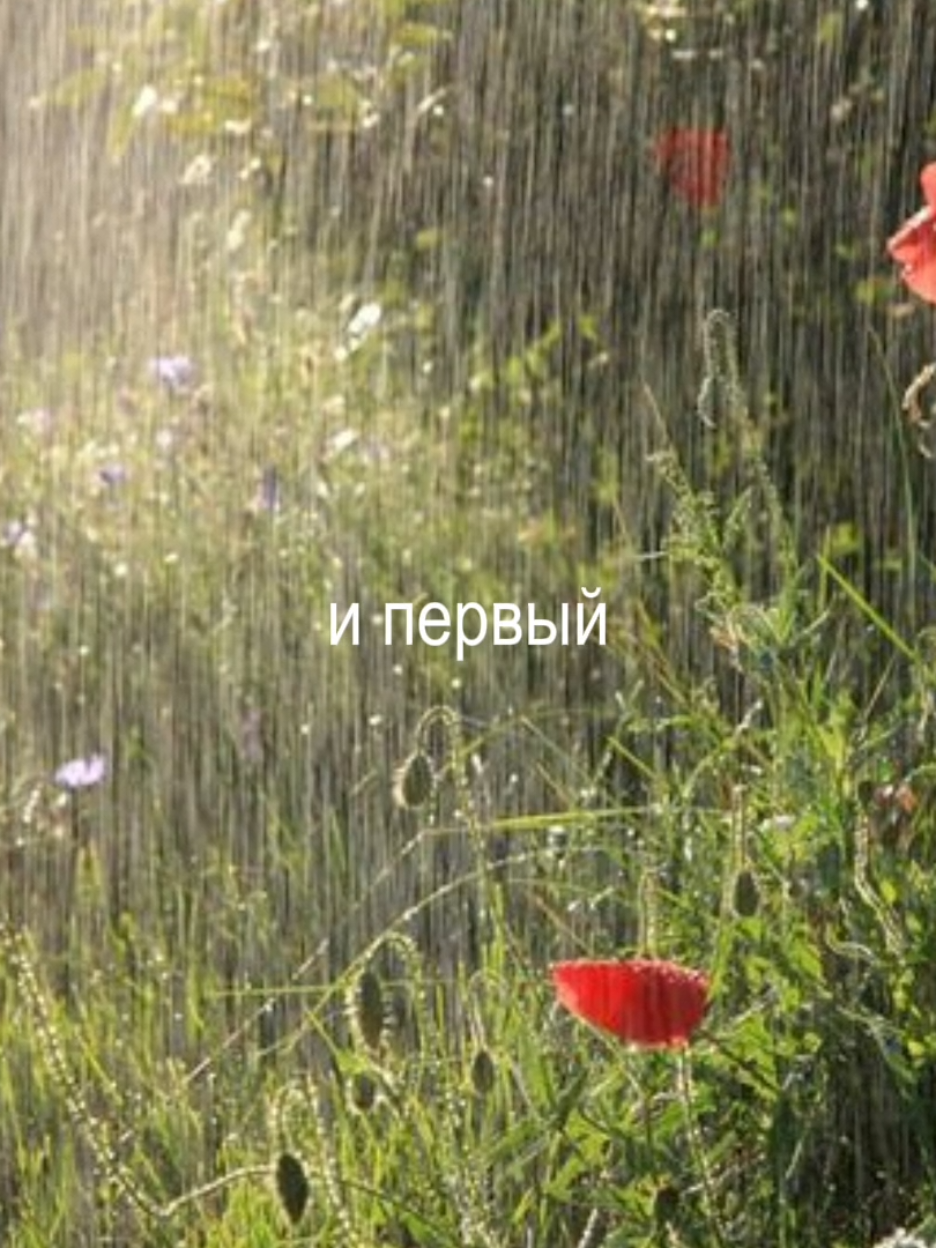 по вайбам на улице уже конец августа(даже учитывая то, что за окном +29), но нет, пока только 31 мая #огосподибоже #лето #сваты #сватыпесни #всеповторится #сваты3 #сваты4 #сваты5 #яхз #реки #рек #рекомендации #fyp #foryou #foryoupage #fypシ #fypシ゚viral #картинкиподпесню #песниподкартинки #незнаб #незнаю #вайб #31мая #летнийвайб #летокартошка 