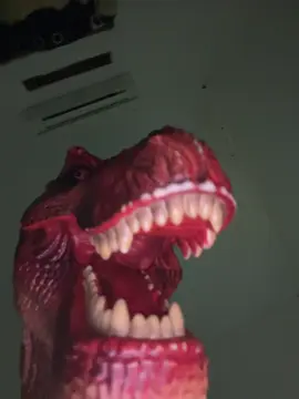 if i #noelgallagher #dinoloser 