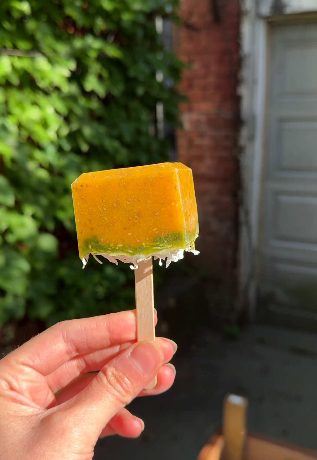 Mango matcha chia popsicles with @Garden of Life chia seeds #sponsored   An easy whole-ingredients recipe, and code JUSTINE2025 for 20% your chia seed order if you’d like! Recipe: 3 large, very ripe mangoes Juice from 1 lime ¼ cup @gardenoflife chia seeds 1 teaspoon culinary grade matcha ¼ cup ice water 2 tablespoons shredded sweetened coconut flakes Blend the mangoes and lime juice until smooth. Add the chia seeds and let them hydrate. In another bowl whisk together the matcha and water. Pour the mango into ice molds and top with 2 teaspoons of matcha each and 1 teaspoon coconut flakes. Freeze and eat whenever!