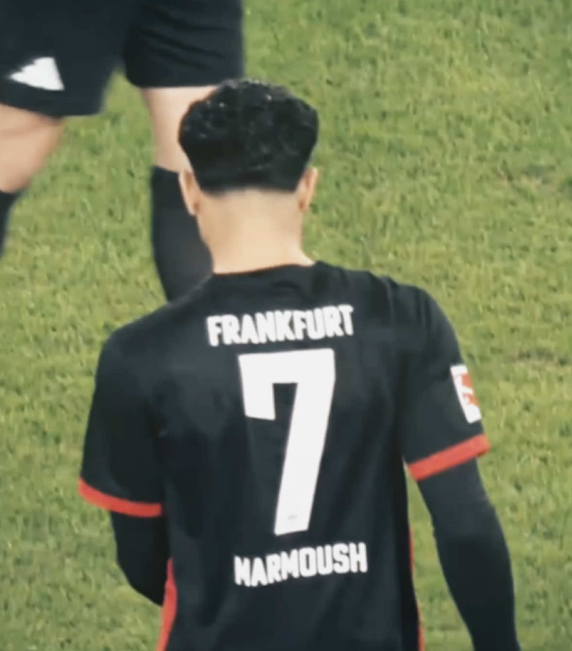 Hi guys im finally back with a NEW edit 🙂🥂 | cc breazy scp me, lockoffscp, judescns | #marmoush #omarmarmoush #marmoushedit #sge #eintrachtfrankfurt #mancity #manchestercity #fc #ucl #PremierLeague #pl #football #Soccer #fußball #fussball #ae #aftereffects #fyp #velocity #viral #edit #foryou | @m 🫎 @m @lau @c2ure @⋆𐙚₊˚ lee @🧽 @trina 𝜗𝜚 @𝐞𝐤𝐚𝐭𝐚 @🫧 @abi @aeaditu  @alia @cherry @kas @leti @lycxx8_ @marie⁴² @mia ₰ 🌟 @michie 🦇 @nadia🌼 @oscar @pimpy @s @sharina @steph @trssrds 