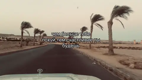 дада#рек #топ #популярное #факты #цитатысосмыслом #врек 