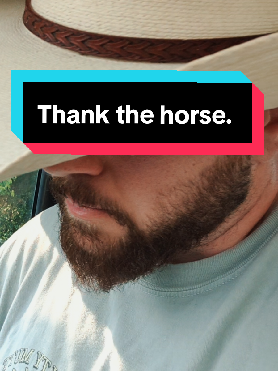 Saw something today that troubled me. We all have our opinions. This is mine.  To be clear: I do NOT condone allowing a horse have truly dangerous habits. But if your ways of training them out of those habits involves bullying and dominating that horse to the point of the animal simply shutting down and becoming a shell of itself - if you're whipping or smacking a horse that can't figure out where you want it to go - then you need to reevaluate yourself and hand that horse off to somebody with patience and curiosity and respect for the animal. If you expect a horse to be a perfectly behaved footsoldier to your every whim with no heart of its own, then you will never really get to experience who that horse is, and that's a damn shame. Your horse may ask you for things. It may ask you for help, for space, for forgiveness, for companionship. Be of service to the horse, as it has been of service to you. #horsetok #horsesoftiktok #horses #horsemanship 