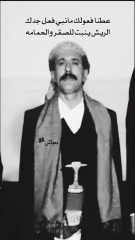 الريش ينبت للصقر والحمامه👌🏽 #foryou #fyp #explore #f @TikTok 
