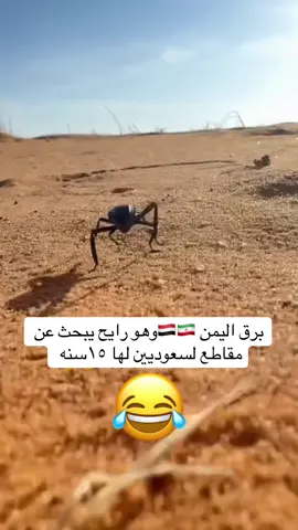 #الشعب_الصيني_ماله_حل😂😂 