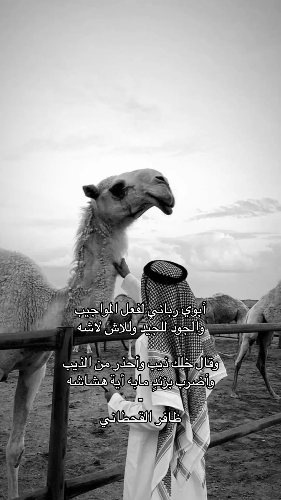 #foryou #fyp #قصايد 