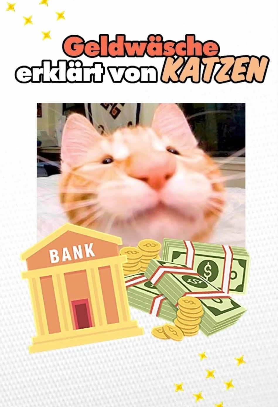 geld nun saubiii #katzen #meow #faktencheck 