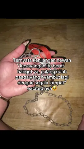Maafin aku ya belum bisa jagain kamu dengan baik😭. Smoga di kehidupan selanjutnya kita dipertemukan lagi😭🐕#fypage #hewanpeliharaan #anabul #dog 