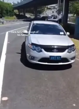 Never buy a fkn falcon🗣️ #aussielife #funny #australia #falcon #aufalcon #car #viral #fyp 
